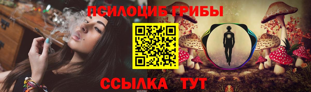 Галлюциногенные грибы Psilocybe Жуковский